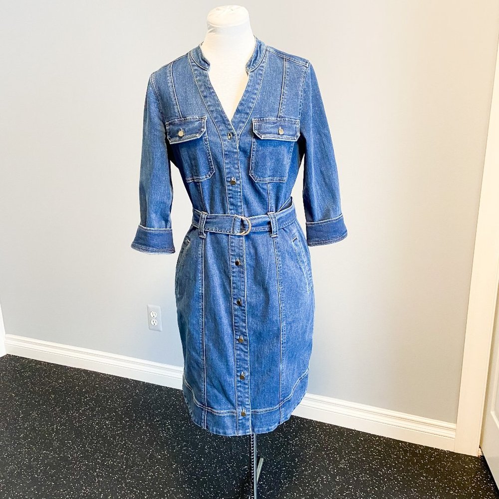 WHBM Three-Quarter Sleeve Denim V-Neck Shirtdress (8)